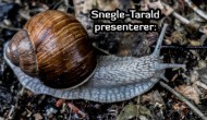Snegle-Tarald lansert på Youtube
